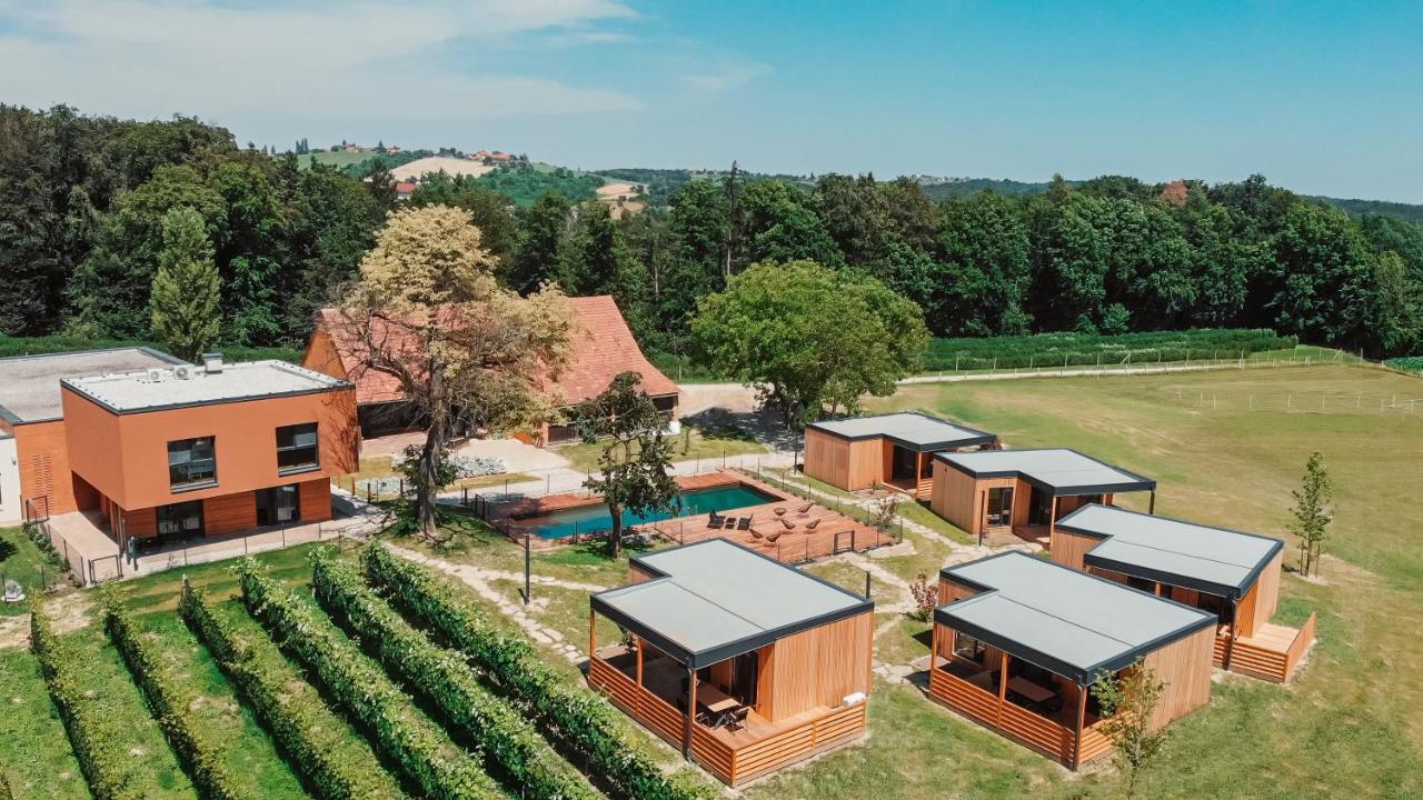 Wine Paradise Glavinic Miklavz pri Ormozu Esterno foto